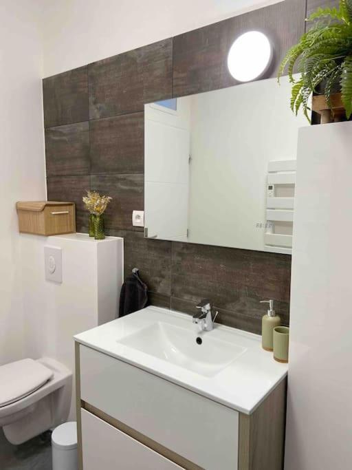Appartement T2 Proche De La Gare Bourg En Bresse Екстериор снимка